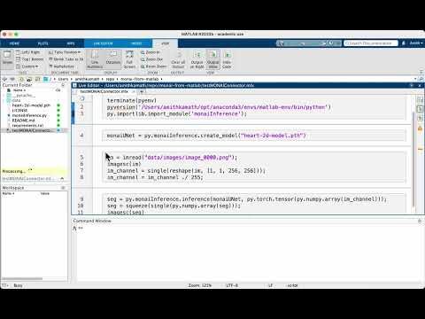 Setting up Python within MATLAB