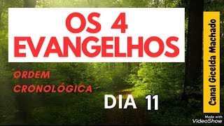 11°Dia OS 4 EVANGELHO EM ORDEM CRONOLÓGICA @giceldamachado5636
