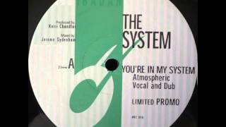 The System - You&#39;re In My System (Atmospheric Dub) [Ibadan] (1998)