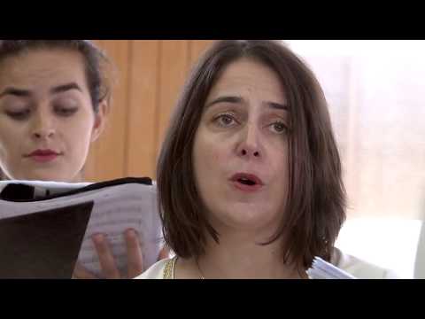 Mesechinko lio, greilivka