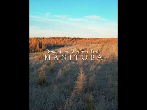 Brokenhead Wetlands Fall 2024