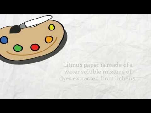 Litmus paper test for acids and bases
