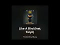 Bread Gang, Tenzin - Like a Bird (DNB mix)