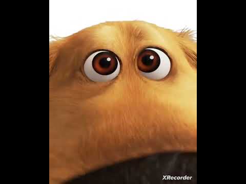 Dug sniffing and licking movie viewers (Disney Pixar UP kohti korkeuksia)