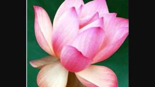 OM THE WHISPERS OF SILENCE.wmv