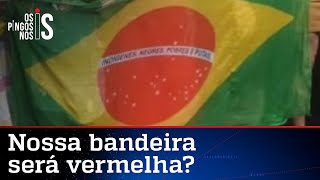 Psolista exibe bandeira do Brasil vermelha e com linguagem neutra