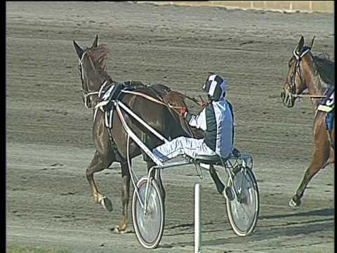 Trotto 29/04/2017 - 8ª corsa - TRIS