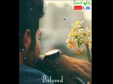 Marappathillai Nenje Nenje//Thalapathy Version