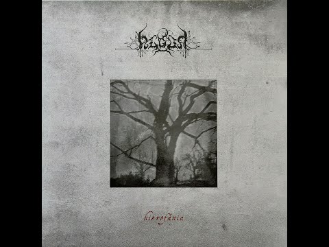 ALGOR - Lesovik