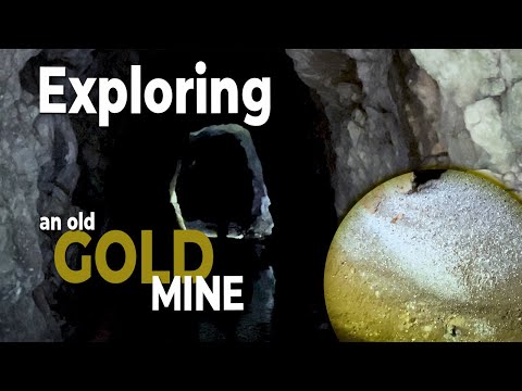 Gold Mine Littered with Fools Gold Everywhere
