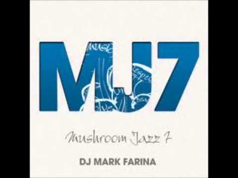DJ Mark Farina - Live Forever
