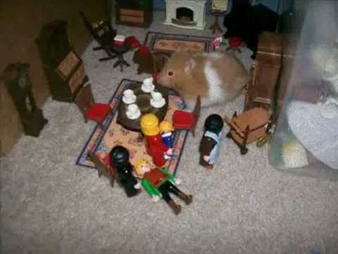 indiana jones vs. hamster