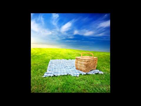 Pete Namlook - Picnic