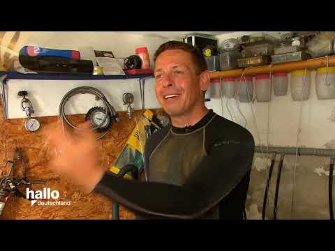 Tauchlehrer auf Sardinien - Hallo Deutschland - Quelle: ZDF