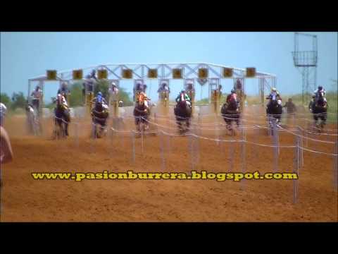 Daikiri Special, Posadas (09-11-14)