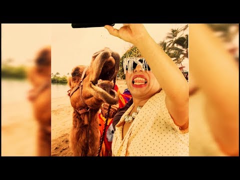 Angyelle & Curio247 feat. N & G - Caravan petrol ( Nu Camel Official video )