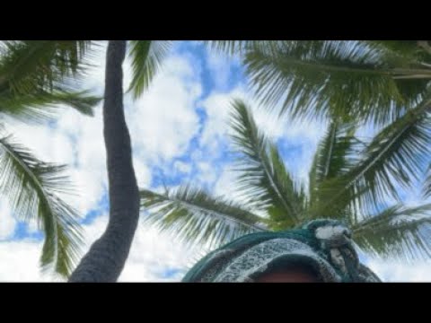 GODDESS MODE - Cereal on the Beach 🏖️