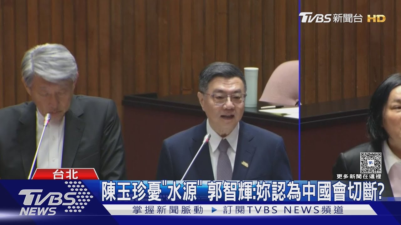 郭智輝問「要把共機打下來?」 陳玉珍:我支持!