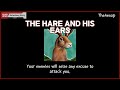 0141 THE HARE AND HIS EARS