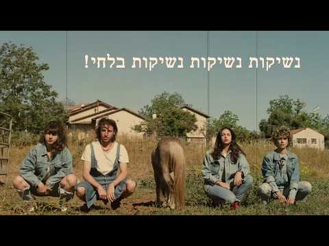 סוס מביט
