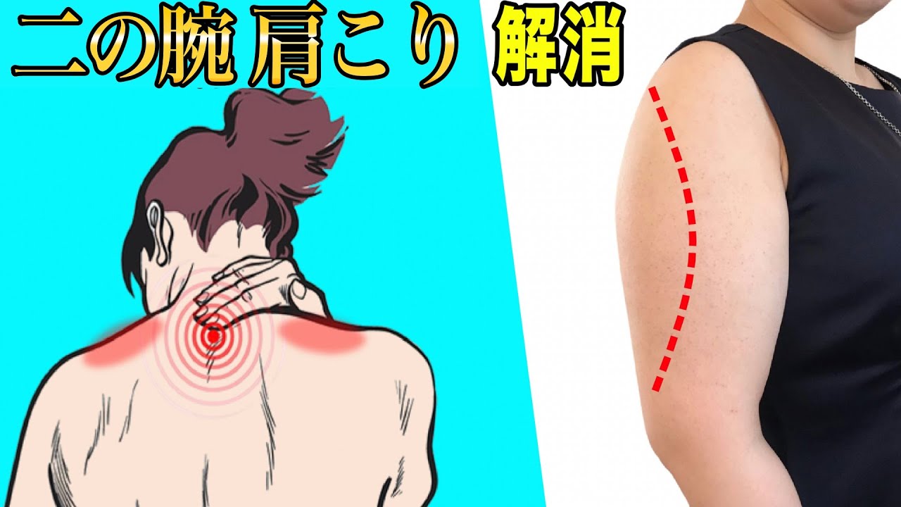 【肩こり解消】二の腕激やせストレッチ【デスクワーカー必見】