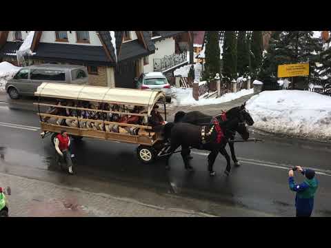 47. Góralski Karnawał - przejazd kapel i zaproszonych gości