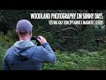 Woodland Photography on Sunny Days | Testing Kentfaith K&F Concept Nano X Magnetic Filters