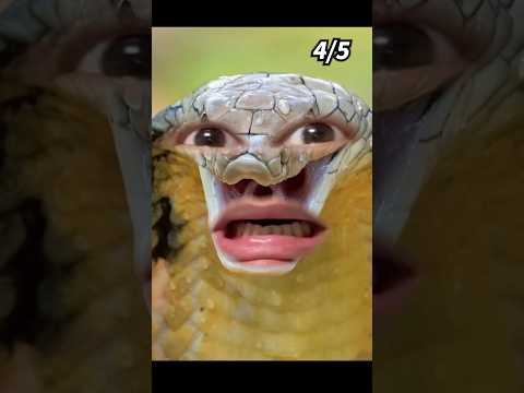 Which number do you like??😝Comedy Remix