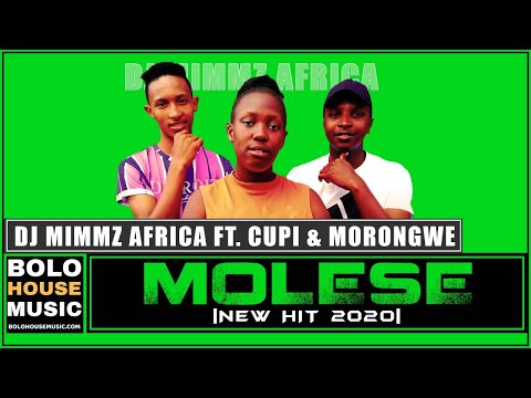 Dj Mimmz Africa - Molese Ft. Cupid & Morongwe (Original)