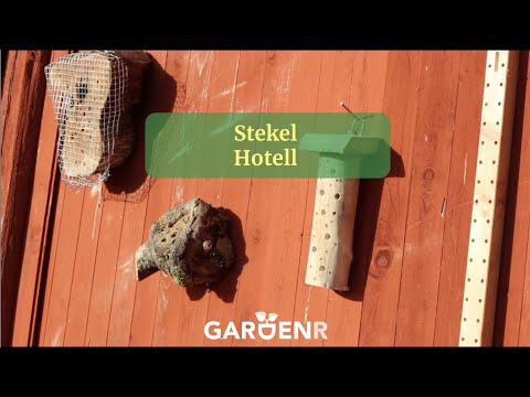 Stekelhotell - Trädgårdshacks med GardenR