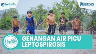 Hati-hati Genangan Air saat Musim Hujan Bisa Picu Leptospirosis, Begini Cara Mencegah dengan Mudah