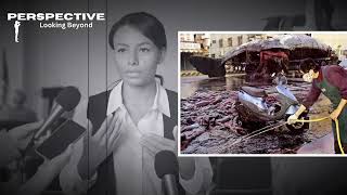 How A 60 Ton Whale Exploded In Street While Transporting To Research Centre In Taiwan….