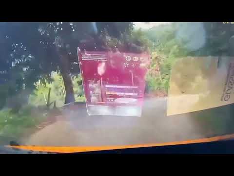 李姓民眾車輛行車紀錄器拍攝到巧遇臺灣黑熊於林道上奔跑