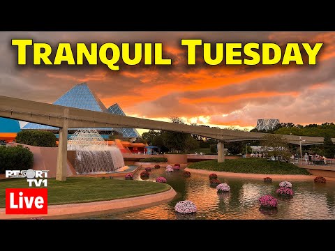 🔴Live: Tranquil Tuesday at Epcot - Walt Disney World Live Stream - 7-18-23