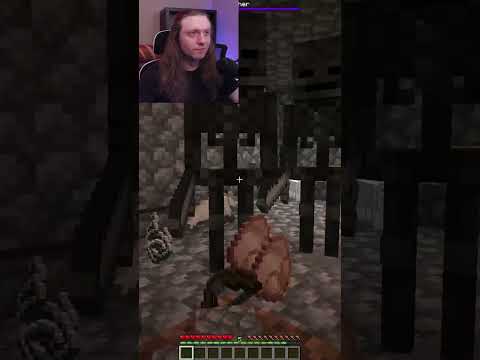 BreadHeroDan - WTF IS GOING ON #shorts #minecraft #stream #streamer #clips #funny #foryou #fyp #foryoupage