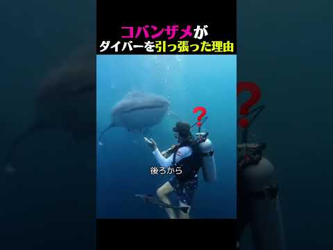 後ろにトラック来てる!!