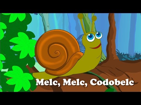 Melc Melc Codobelc +7 more songs | Medley 15 minutes