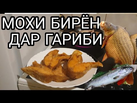 Хаёти Мухочирони Чахон ДАР ГАРИБИ ТАЁР НАМУДАНИ МОХИ БАРОИ РУЗА