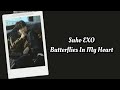 Suho EXO - Butterflies In My Heart Lyrics Terjemahan (Rom / Indonesia)