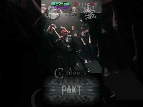 SANER X KOŁO - PAKT 2 #Shorts