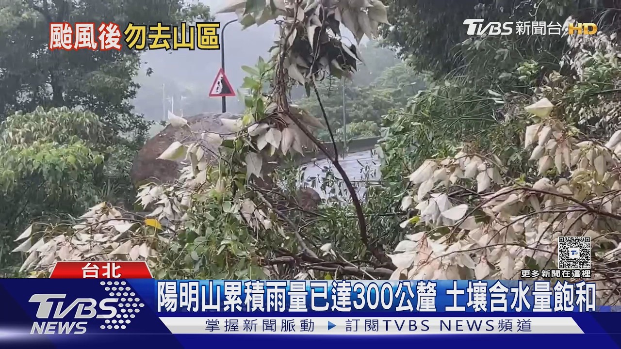 影音／擎天崗、小油坑含水量飽和！北市示警：恐有落石倒樹暫勿前往