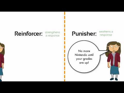 Learning: Negative Reinforcement vs. Punishment