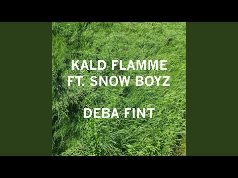 Deba Fint (feat. Snow Boyz)
