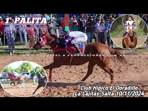 1°PALITA vs 2°MALEFICA Club Hipico El Doradillo-Las Lajitas-Salta Domingo 10 de noviembre del 2024