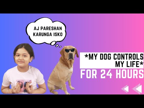 my DOG controls my Life for 24 HOURS | challenge | anaisha verma vlogs