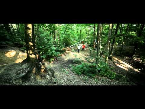 CHADNESS I M A SURVIVOR VIDEO BY WELLDONE