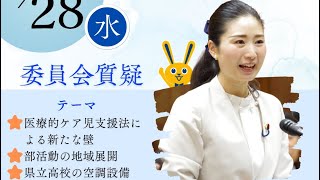 2025.5.28.国民民主党日野紗里亜衆議院議員の文部科学委員会質疑