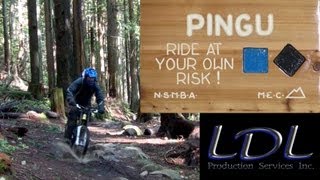 preview picture of video 'Pingu on Mount Seymour. North Shore Mountain Biking.'