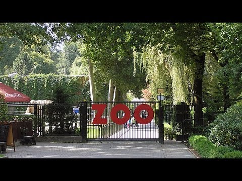 Krakow Zoo, Poland