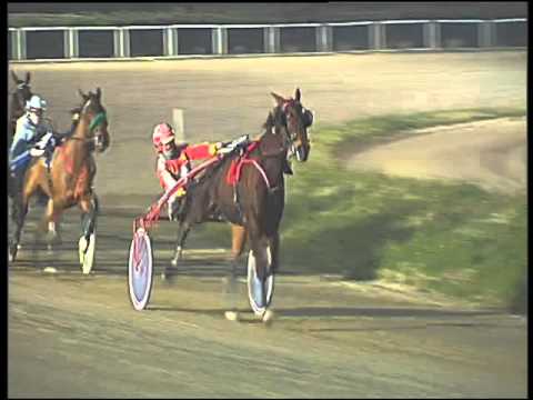 Trotto 26/01/2016 - 8° corsa  TRIS